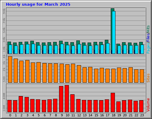 Hourly usage for March 2025 Hourly usage for March 2025